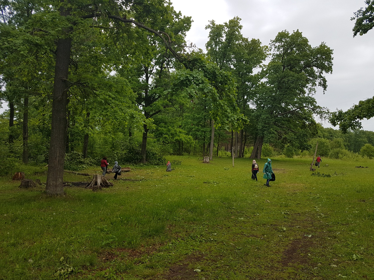 Памятник природы «Малышевские гривы» очистили от мусора более 200 человек - фото 1