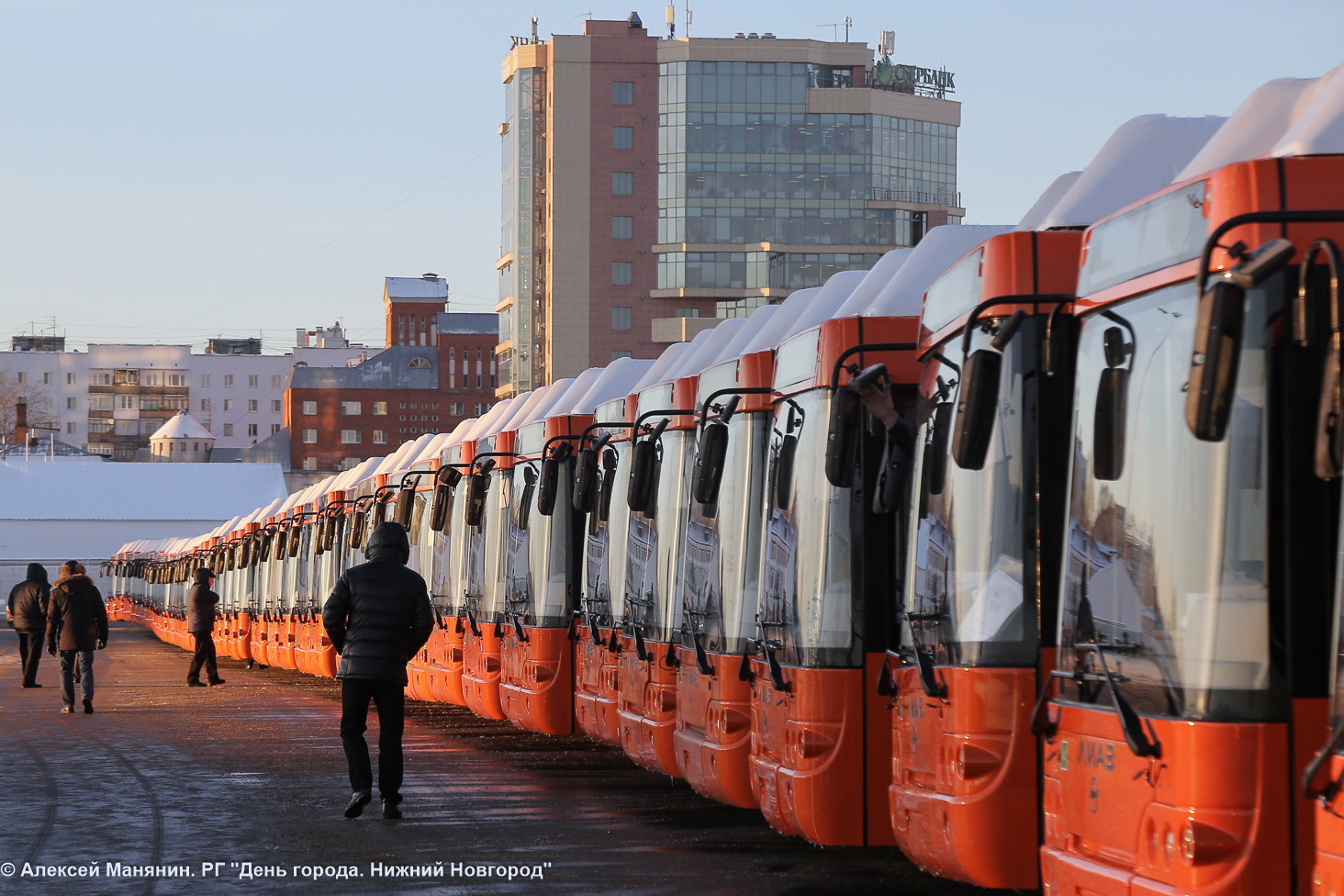 50 новых автобусов выйдут на линии Нижнего Новгорода в следующем году - фото 1